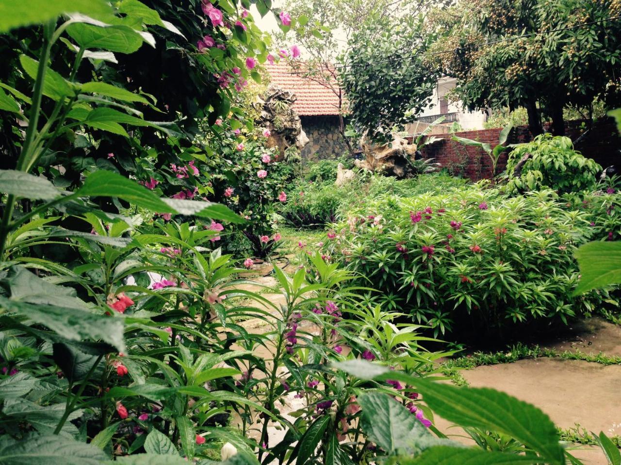 Mr. Viet Home Stay Ninh Bình Exteriör bild