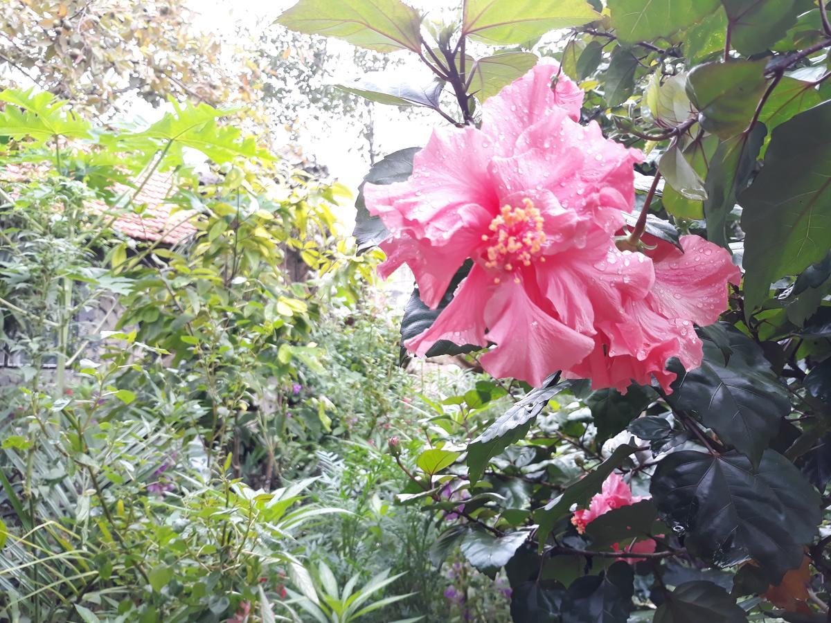 Mr. Viet Home Stay Ninh Bình Exteriör bild