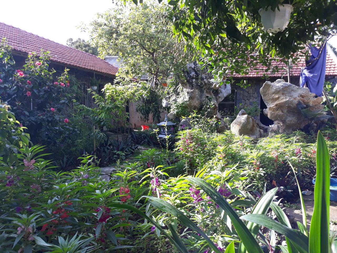 Mr. Viet Home Stay Ninh Bình Exteriör bild