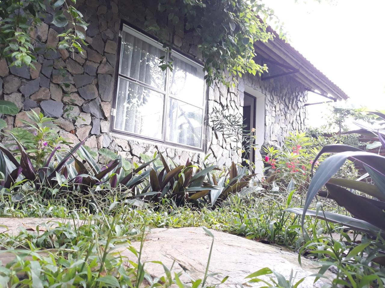 Mr. Viet Home Stay Ninh Bình Exteriör bild