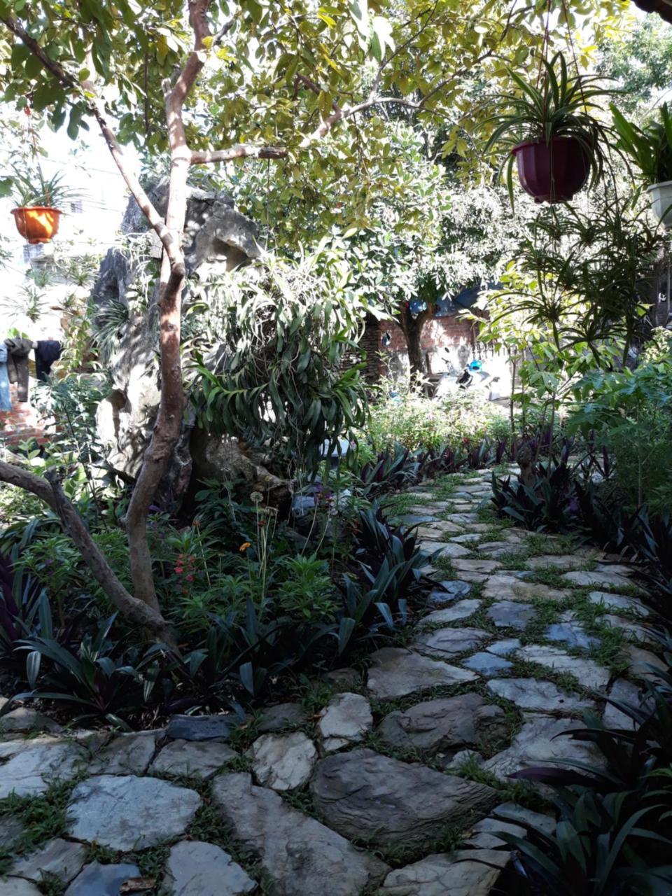 Mr. Viet Home Stay Ninh Bình Exteriör bild