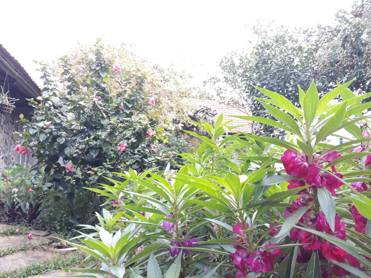 Mr. Viet Home Stay Ninh Bình Exteriör bild