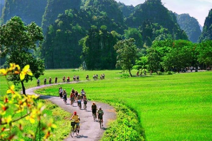 Mr. Viet Home Stay Ninh Bình Exteriör bild