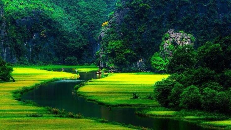 Mr. Viet Home Stay Ninh Bình Exteriör bild