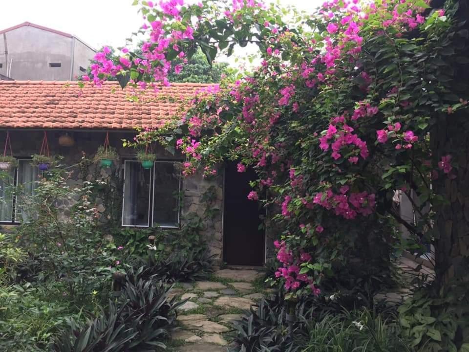 Mr. Viet Home Stay Ninh Bình Exteriör bild