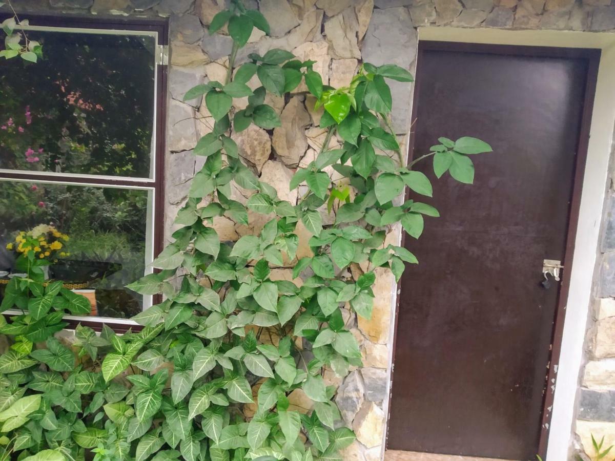 Mr. Viet Home Stay Ninh Bình Exteriör bild