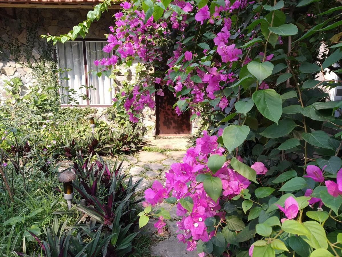 Mr. Viet Home Stay Ninh Bình Exteriör bild
